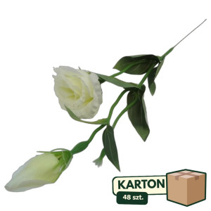 48szt piki eustoma z pakiem wys:48cm