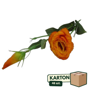 48szt piki eustoma z pakiem wys:48cm