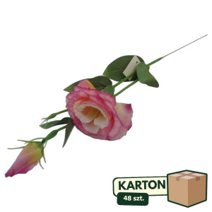 48szt piki eustoma z pakiem wys:48cm