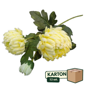 12szt chryzantema na łodydze 2+1 wys: 75cm