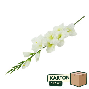 192szt mieczyki na łodydze wys:76cm