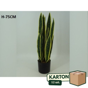 12szt ROŚLINA W DONICZCE wys:75cm