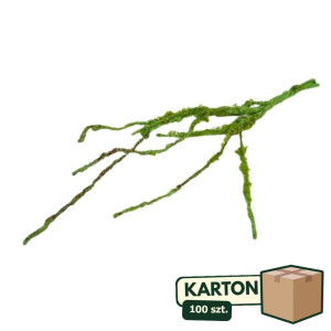 100szt gałązka elasztyczna omszała wys:60cm