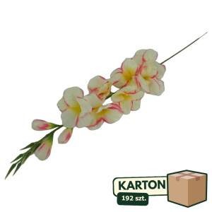 192szt Mieczyk sztuczny premium do wieńców i bukietów wys:80cm