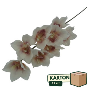 12szt storczyk cymbidium wys: 85cm
