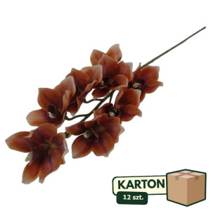 12szt storczyk cymbidium wys: 85cm