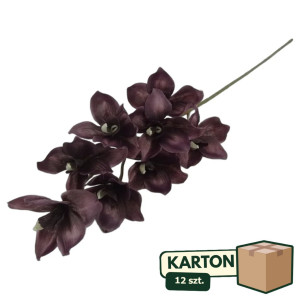 12szt storczyk cymbidium wys: 85cm