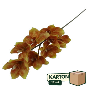 12szt storczyk cymbidium wys: 85cm