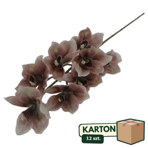 12szt storczyk cymbidium wys: 85cm