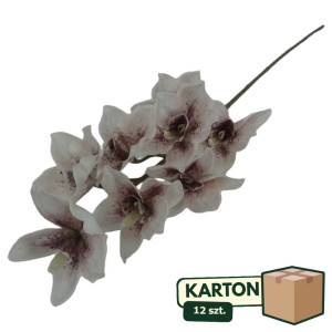 12szt storczyk cymbidium wys: 85cm