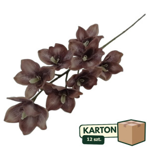 12szt storczyk cymbidium wys: 85cm