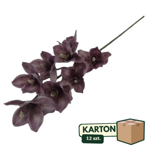 12szt storczyk cymbidium wys: 85cm