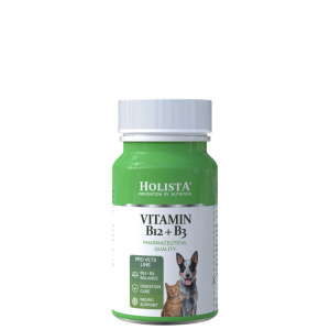 Promocja! HOLISTA Vitamin B12 + B3 90 Tabletek