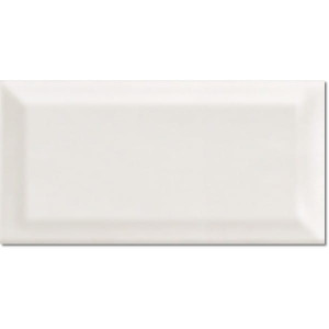Metro White Matt 10x20