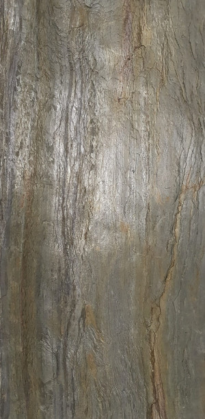 Fornir kamienny Burning Forest XX | 122x244 cm