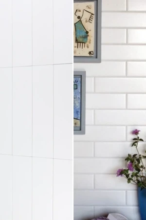 Evolution Blanco Mate 10x40