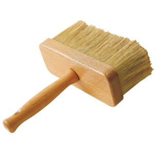 Pędzel ławkowiec