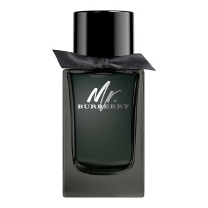 BURBERRY MR. Burberry woda perfumowana spray męskie 100 ml