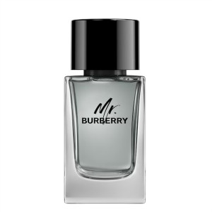 BURBERRY MR. Burberry woda toaletowa spray męskie 100 ml