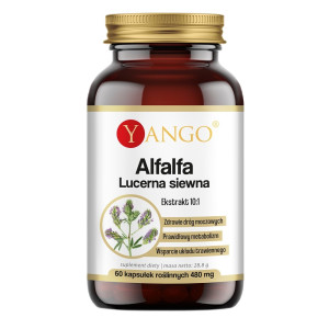 Yango Alfalfa lucerna siewna 480 mg suplement diety 60 kapsułek