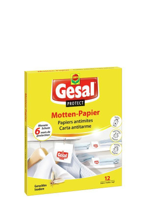 Motten Papier