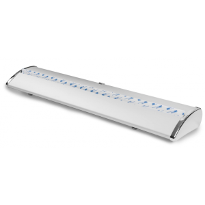 Kaseta rollup exclusive 150 cm