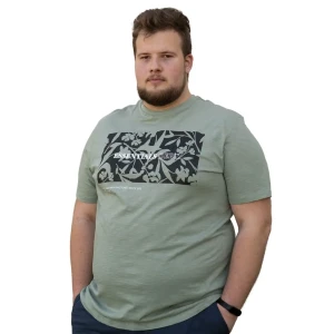 Duża męska koszulka z nadrukiem t-shirt Jack & Jones 12275745 jasnozielony (5XL) | 5XL