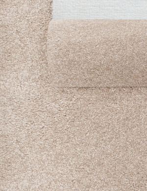 MultiSense Wykładzina Dywanowa 4m Hamilton 6558 Sandstone