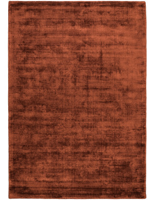 Dywan Wiskoza 200x300cm Terra