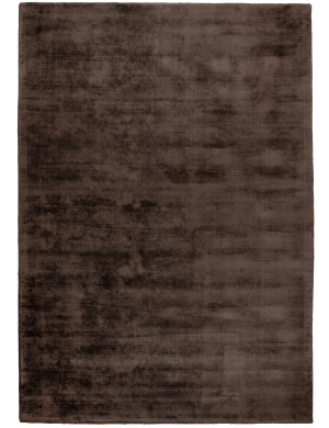 Dywan Wiskoza 200x300cm Brązowy