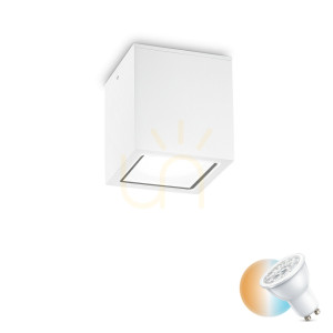 Außen-Deckenleuchte Ideallux Techo PL1 Big Bianco weiß GU10 251523