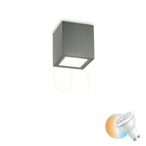 Außen-Deckenleuchte Ideallux Techo PL1 Small anthrazit GU10 251554