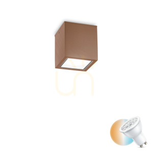 Außen-Deckenleuchte Ideallux Techo PL1 Small Coffee braun GU10 251592
