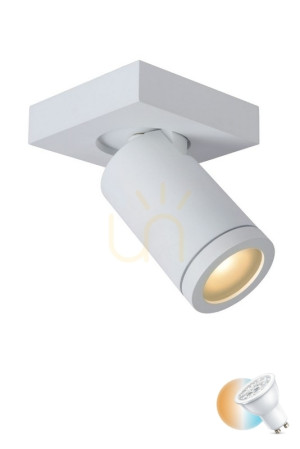Lucide TAYLOR Plafond 09930/05/31