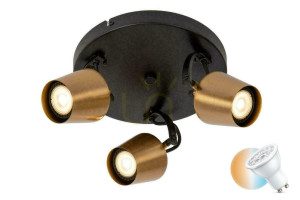 Lucide EMILE Plafond 51901/13/02