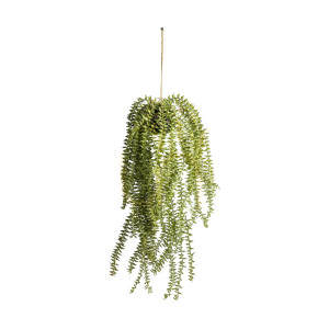 Hängender Schachtelhalm-Kaktus Grün 58 cm Eisen Kunststoff Gallery Direct 5059413399480