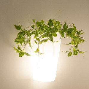 Mantra TEJA 6508 Wandleuchte