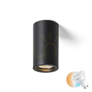 Plafond Rendl R14560 Moma Deckenleuchte, Downlight Schwarz