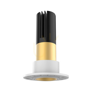 Gold Ring FOR S204-s205 (trimless Anwendung) ZAMBELIS