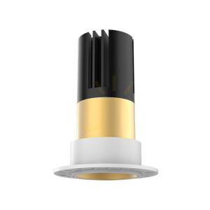 Gold Ring FOR S209-s210 (trimless Anwendung) ZAMBELIS