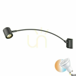 Osvetlenie obrazov SLV MYRA DISPLAY antracit IP55 50W 230V 233135