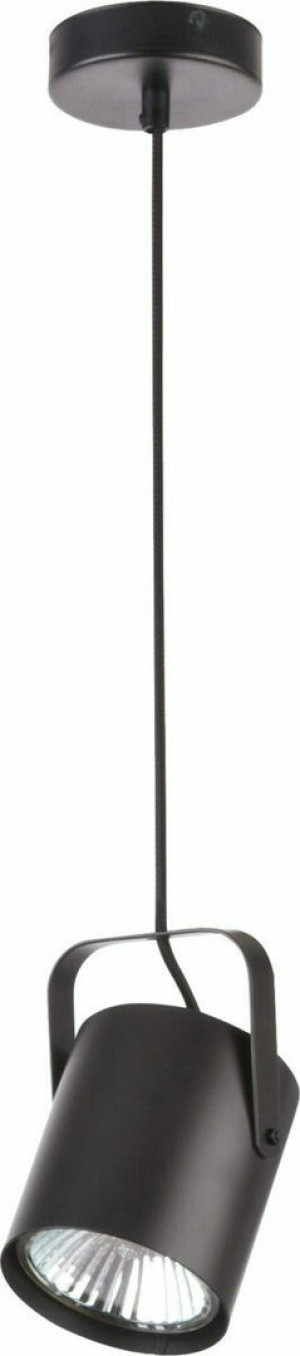 Závesné svietidlo Sigma Flesz E27 1x60W čierne SKU 31077