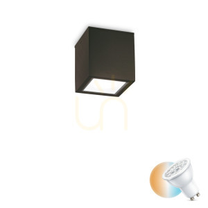 Vonkajší stropný plafón Ideallux Techo PL1 Small Nero čierny GU10 251578