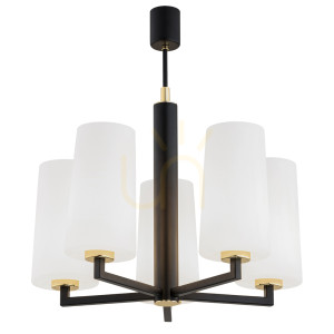 Luster ARGON CAMELOT PLUS 2114 biely matný, sklo, E27, 5 svietidiel