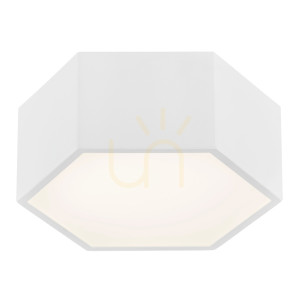 Plafón ARGON ARIZONA biely LED 10W IP20 3828
