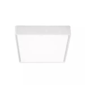 Plafond IP65 Plug400 Emergency 20W 3000/4000K White Dali.