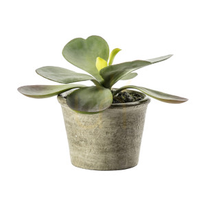 Umelá kalanchoe v kvetináči zelená Gallery Direct 11 x 11 x 15 cm