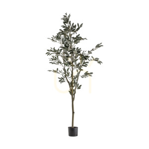 Umelý olivovník Gallery Direct zelený 182 cm