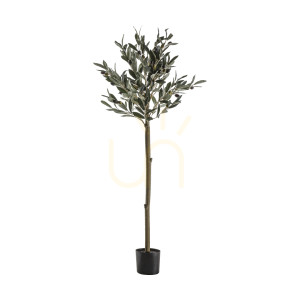 Umelý olivovník Gallery Direct zelený 121 cm