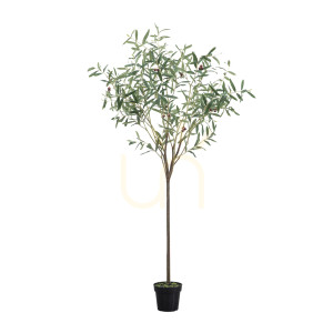 Umelý olivovník Gallery Direct zelený 172 cm